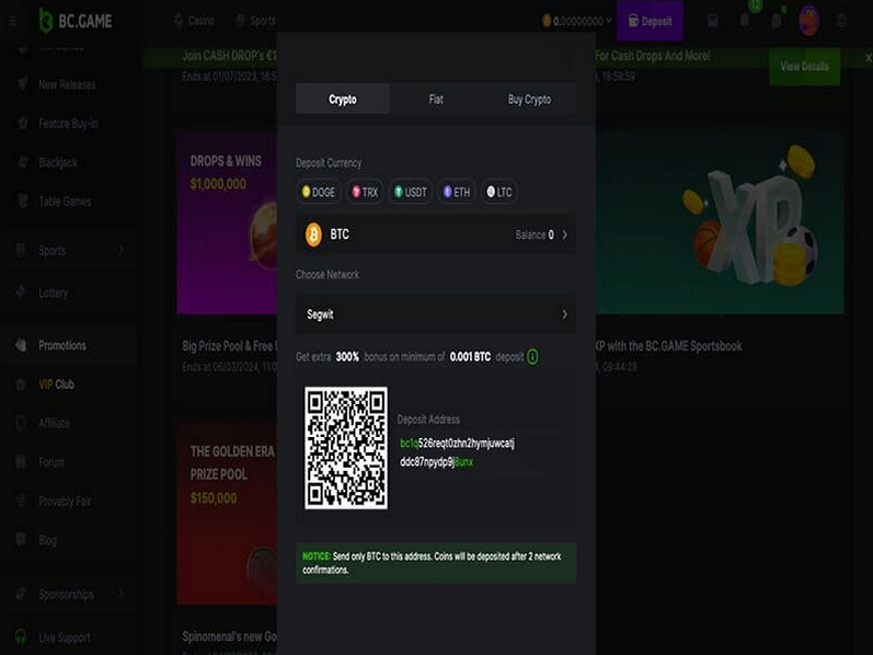 Payments options at BC.Game Casino